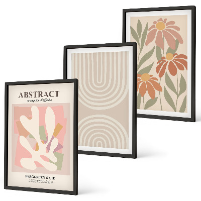 Lot de 3 tableaux pour salon Formes végétales abstraites