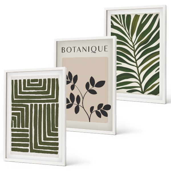 Lot de 3 tableaux pour salon Minimalisme bohème botanique