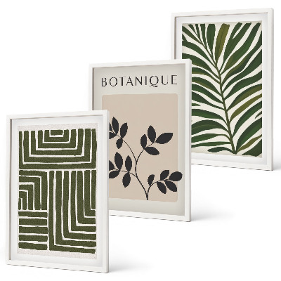 Lot de 3 tableaux pour salon Minimalisme bohème botanique