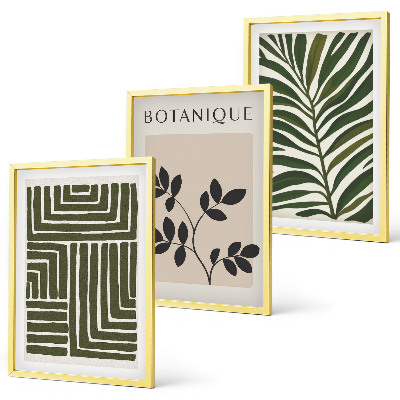 Lot de 3 tableaux pour salon Minimalisme bohème botanique