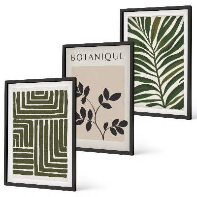 Lot de 3 tableaux pour salon Minimalisme bohème botanique