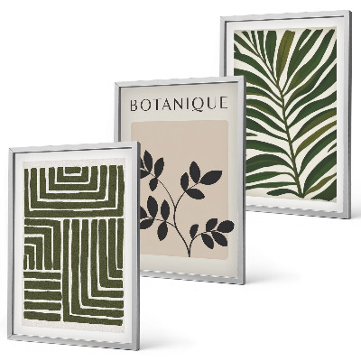 Lot de 3 tableaux pour salon Minimalisme bohème botanique