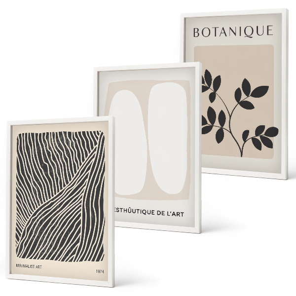 Lot de 3 tableaux pour salon Motifs et lignes des plantes