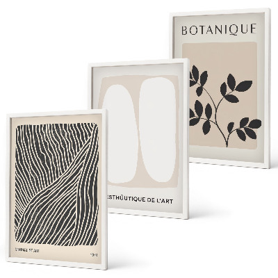 Lot de 3 tableaux pour salon Motifs et lignes des plantes