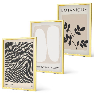 Lot de 3 tableaux pour salon Motifs et lignes des plantes