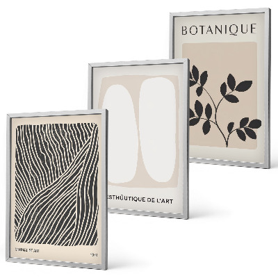 Lot de 3 tableaux pour salon Motifs et lignes des plantes
