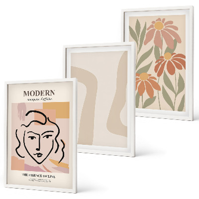 Lot de 3 tableaux pour salon Femme abstraite moderne