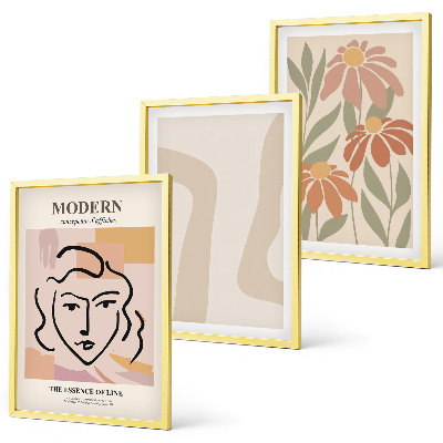 Lot de 3 tableaux pour salon Femme abstraite moderne