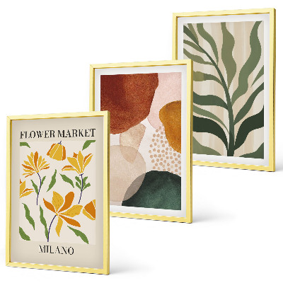 Lot de 3 tableaux pour salon Formes abstraites florales