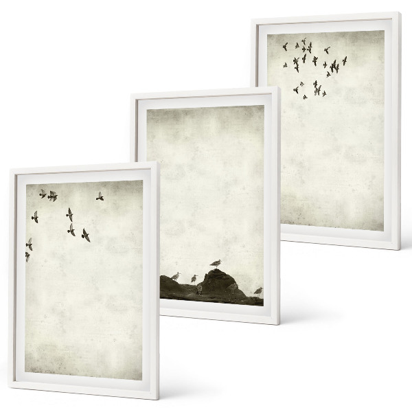 Lot de 3 tableaux pour salon Minimalisme des oiseaux volants