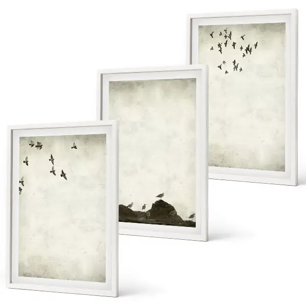 Ensemble de 3 tableaux pour salon motif de minimalisme avec des oiseaux en vol