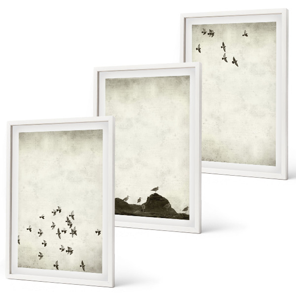 Cadre photo mural Oiseaux en vol style minimaliste