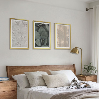 Cadre photo mural Textures tropicales estivales