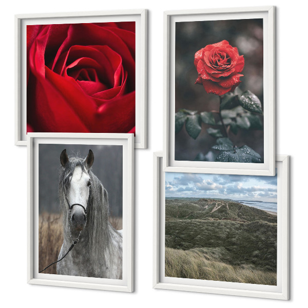 Ensemble de 4 tableaux Roses rouges sur fond gris cheval