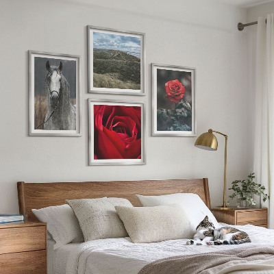 Ensemble de 4 tableaux Roses rouges sur fond gris cheval