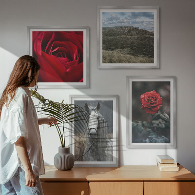 Ensemble de 4 tableaux Roses rouges sur fond gris cheval