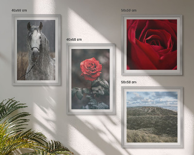 Ensemble de 4 tableaux Roses rouges sur fond gris cheval