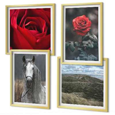 Ensemble de 4 tableaux Roses rouges sur fond gris cheval