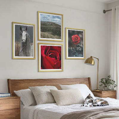 Ensemble de 4 tableaux Roses rouges sur fond gris cheval