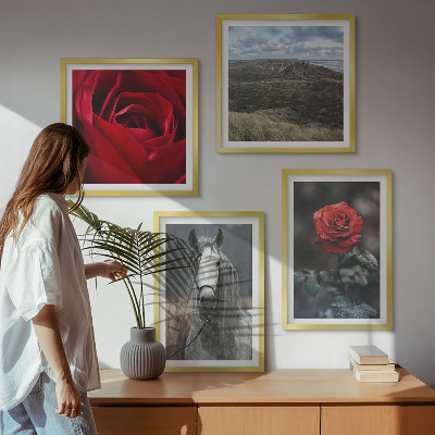 Ensemble de 4 tableaux Roses rouges sur fond gris cheval