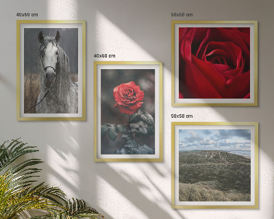 Ensemble de 4 tableaux Roses rouges sur fond gris cheval