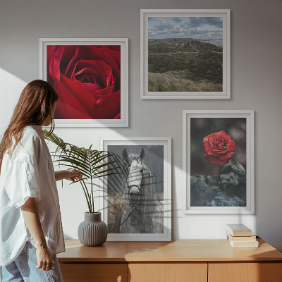 Ensemble de 4 tableaux Roses rouges sur fond gris cheval
