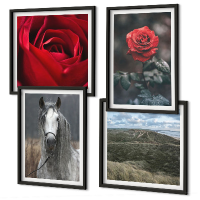 Ensemble de 4 tableaux Roses rouges sur fond gris cheval