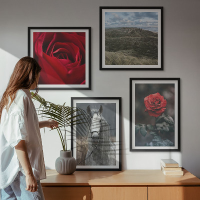 Ensemble de 4 tableaux Roses rouges sur fond gris cheval