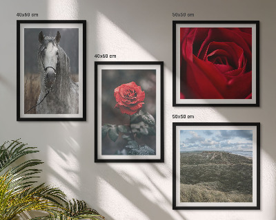 Ensemble de 4 tableaux Roses rouges sur fond gris cheval