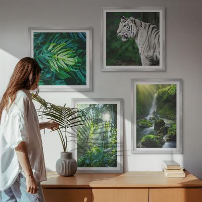 Ensemble de 4 tableaux Cascade du tigre blanc de la jungle