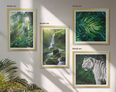 Ensemble de 4 tableaux Cascade du tigre blanc de la jungle