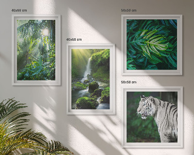 Ensemble de 4 tableaux Cascade du tigre blanc de la jungle