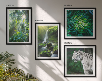 Ensemble de 4 tableaux Cascade du tigre blanc de la jungle