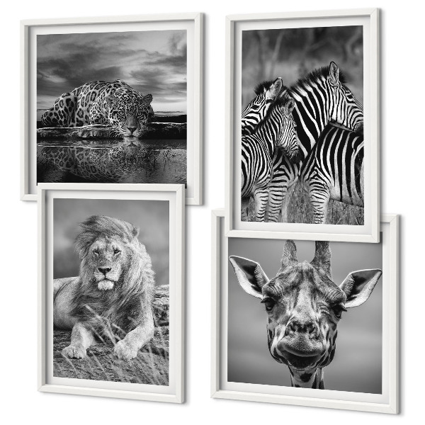 Ensemble de 4 tableaux Animaux sauvages lion jaguar girafe zèbres