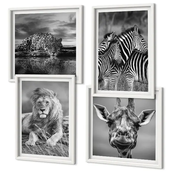 Ensemble de 4 tableaux représentant des animaux sauvages comme le lion, le jaguar, la girafe et les zèbres