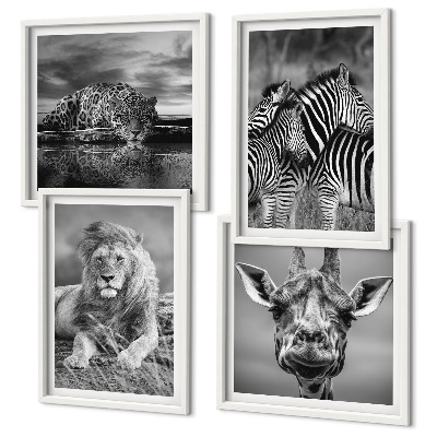 Ensemble de 4 tableaux Animaux sauvages lion jaguar girafe zèbres