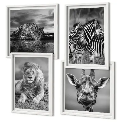 Ensemble de 4 tableaux représentant des animaux sauvages comme le lion, le jaguar, la girafe et les zèbres