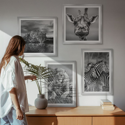 Ensemble de 4 tableaux Animaux sauvages lion jaguar girafe zèbres