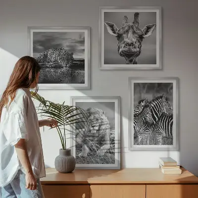 Ensemble de 4 tableaux représentant des animaux sauvages comme le lion, le jaguar, la girafe et les zèbres