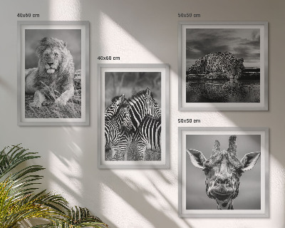 Ensemble de 4 tableaux Animaux sauvages lion jaguar girafe zèbres