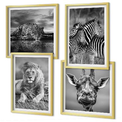 Ensemble de 4 tableaux Animaux sauvages lion jaguar girafe zèbres