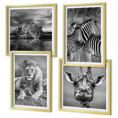 Ensemble de 4 tableaux représentant des animaux sauvages comme le lion, le jaguar, la girafe et les zèbres