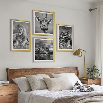 Ensemble de 4 tableaux Animaux sauvages lion jaguar girafe zèbres