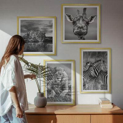 Ensemble de 4 tableaux Animaux sauvages lion jaguar girafe zèbres