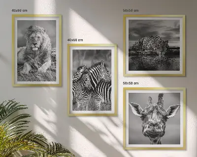 Ensemble de 4 tableaux représentant des animaux sauvages comme le lion, le jaguar, la girafe et les zèbres