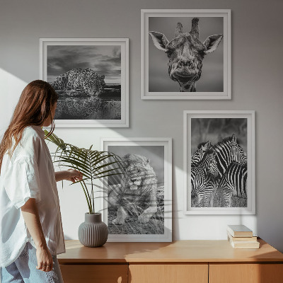 Ensemble de 4 tableaux Animaux sauvages lion jaguar girafe zèbres
