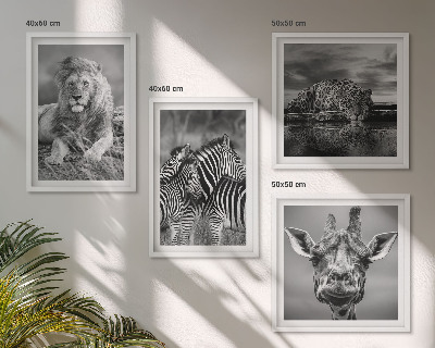 Ensemble de 4 tableaux Animaux sauvages lion jaguar girafe zèbres