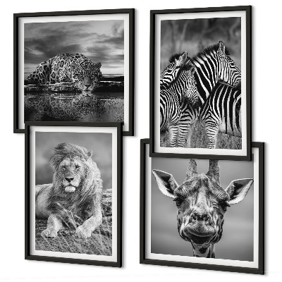 Ensemble de 4 tableaux Animaux sauvages lion jaguar girafe zèbres