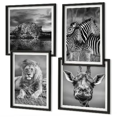 Ensemble de 4 tableaux représentant des animaux sauvages comme le lion, le jaguar, la girafe et les zèbres
