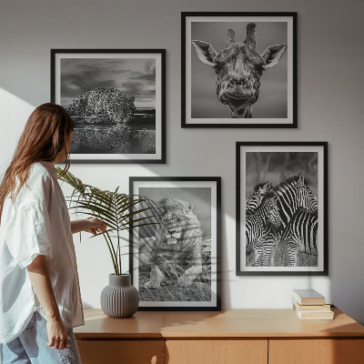 Ensemble de 4 tableaux Animaux sauvages lion jaguar girafe zèbres
